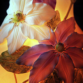 Clematis Still Life  by Jessica Jenney