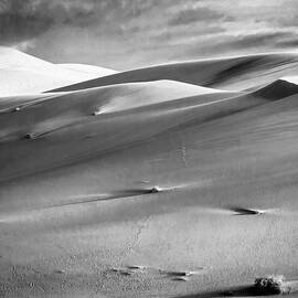 Climate Change at  Eureka  Dunes by Joe Schofield