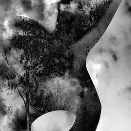 Cloaked and shadowed by Jorgo Photography