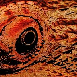 Close-Up of a Reptilian Eye by Bruce Block