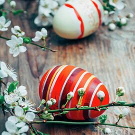 Closeup of colorful painted easter eggs and cherry blossom branc by Jelena Jovanovic
