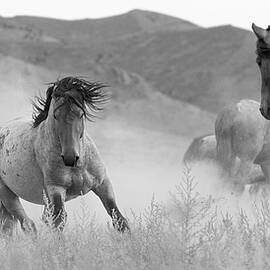 Closing In. by Paul Martin