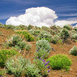 Cloud over the desert by Waterdancer