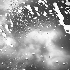 Clouds in a Puddle by Mary Lee Dereske