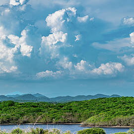 Clouds Over Jungle Mazatlan Mexico by Tommy Farnsworth