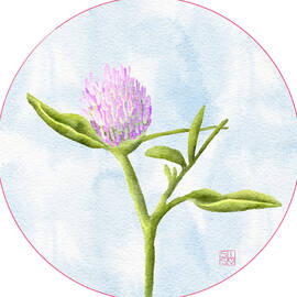 Clover Flower by Snow Iris Studio