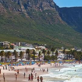 Coastal Beauty Cape Town Scene by Travel Essayist