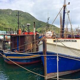 Coastal Harbor Cape Town's Fishing Scene by Travel Essayist