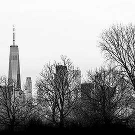 Coexist by David Fountain