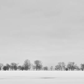 Cold Horizon by Scott Norris