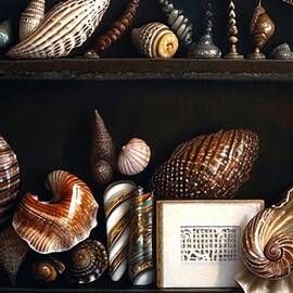 Collector's Shelf by Eris And AI