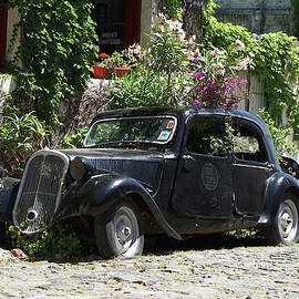 Colonia Classic Car 1 by Richard Reeve