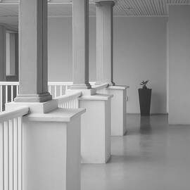 Colonnade in Black and White by Mary Lee Dereske