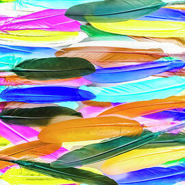 Color Novella by Jorgo Photography