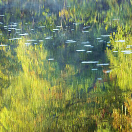 Colorado - Evergreen Lake - Reflections by Robert Niemeier