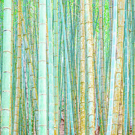 Colorful Bamboo by Alexander Kunz