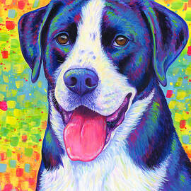 Colorful Bicolor Dog with Rainbow Colors by Rebecca Wang