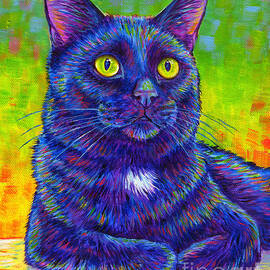 Colorful Black Cat Portrait by Rebecca Wang