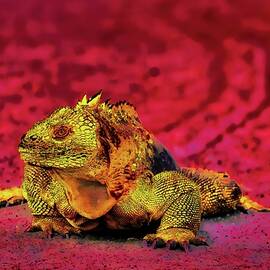 Colorful Iguana on Vibrant Background by Bruce Block