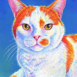 Colorful Orange and White Cat - Hyler by Rebecca Wang