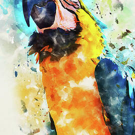 Colorful Parrot - 21 by AM FineArtPrints