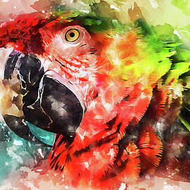 Colorful Parrot - 25 by AM FineArtPrints