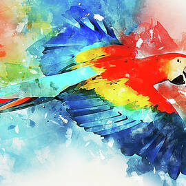 Colorful Parrot - 26 by AM FineArtPrints