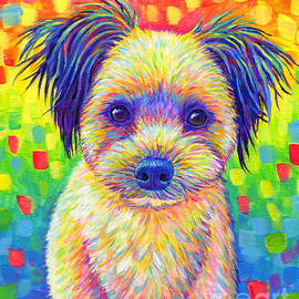 Cute Rainbow Dog by Rebecca Wang