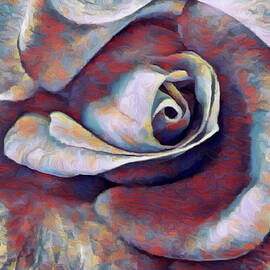 Colorful Rose Close-up by Barbara Siegel