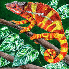 Colorful Sambava Panther Chameleon by Rebecca Wang