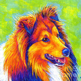Colorful Shetland Sheepdog by Rebecca Wang