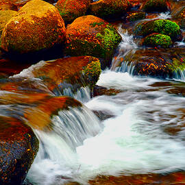 Colorful Stones and Flowing Water by Stefano Senise