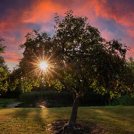 Colorful Sunrise Lima Ohio Park by Dan Sproul