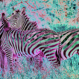 Colorful zebra by Bruce Block