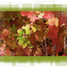 Colors by Barbara Siegel