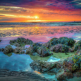 Colors of the Heart by Penny Polakoff