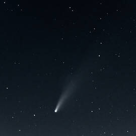 Comet NEOWISE by Steven Sparks