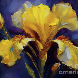 Compassion by Macro Abundance