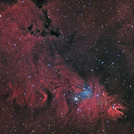 Cone Nebula and Christmas Tree Cluster by Brian Weber