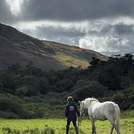 Connemara Horse at Kylemore Abbey Ireland by Mary Lee Dereske