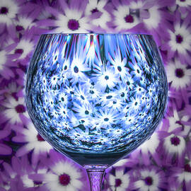 Contained Inside by Elvira Peretsman