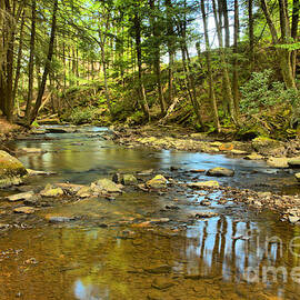 Cook Forest Toms Run Reflections by Adam Jewell