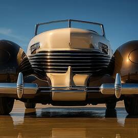 Cord Distinction by David Manlove