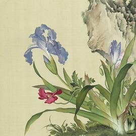 Corn poppies and fringed blue iris - Chinese flower paintings by Giuseppe Castiglione by Giuseppe Castiglione Lang Shining