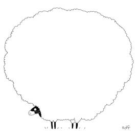 Corona Grooming by Seth Fleishman