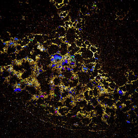 Cosmic Bubbles in Vibrant Colors by Bruce Block