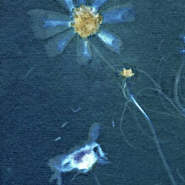 Cosmos to the Right Cyanotype by Elizabeth Reich