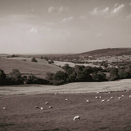 Cotswolds  countryside near Winchcombe by Seeables Visual Arts