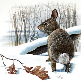 Cottontail Rabbit and Oak by Don Balke