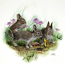 Cottontails and Butterfly by Don Balke